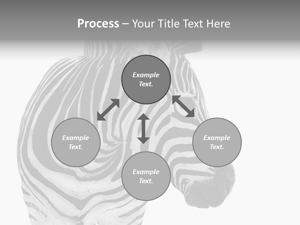 Safari Black Looking PowerPoint Template