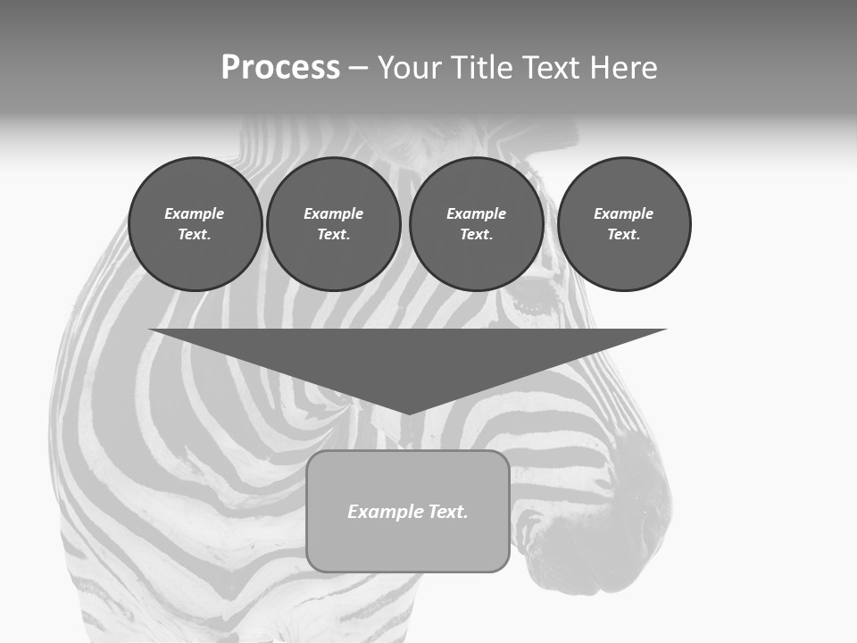 Safari Black Looking PowerPoint Template
