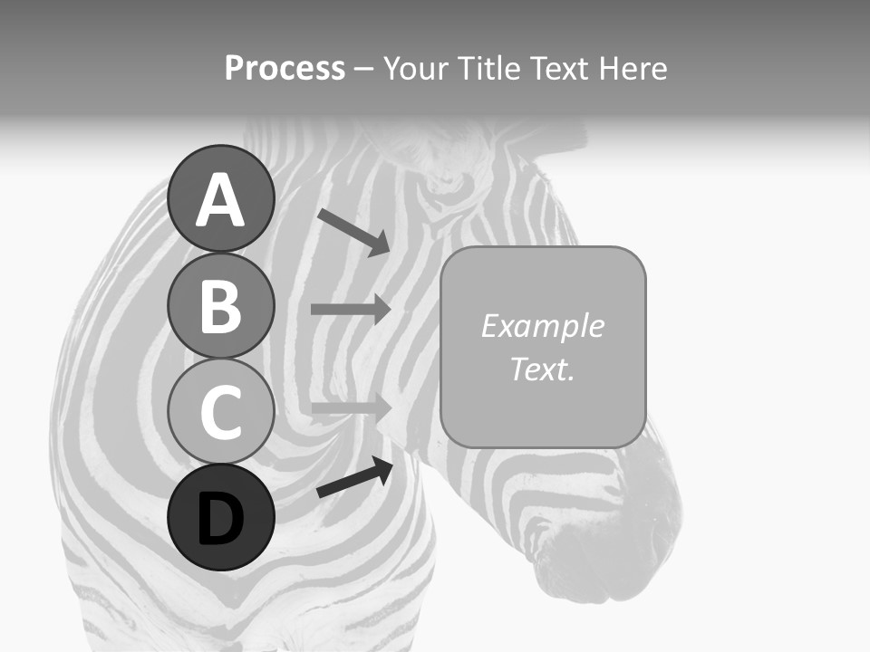 Safari Black Looking PowerPoint Template