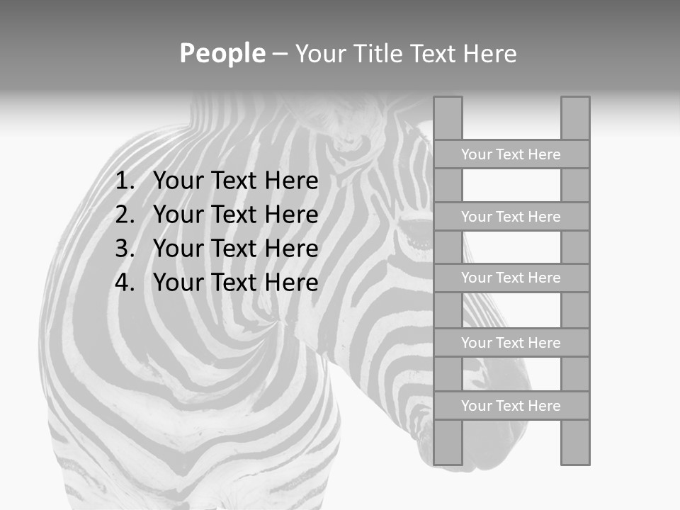 Safari Black Looking PowerPoint Template