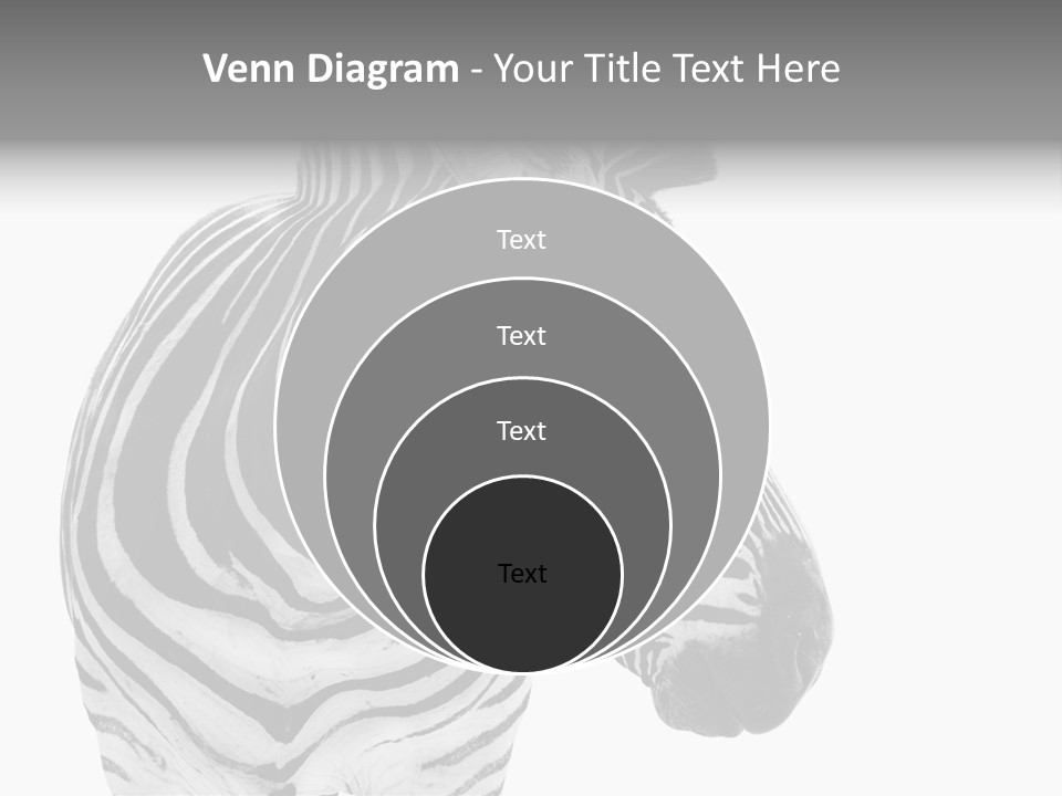 Safari Black Looking PowerPoint Template