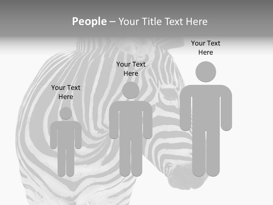 Safari Black Looking PowerPoint Template