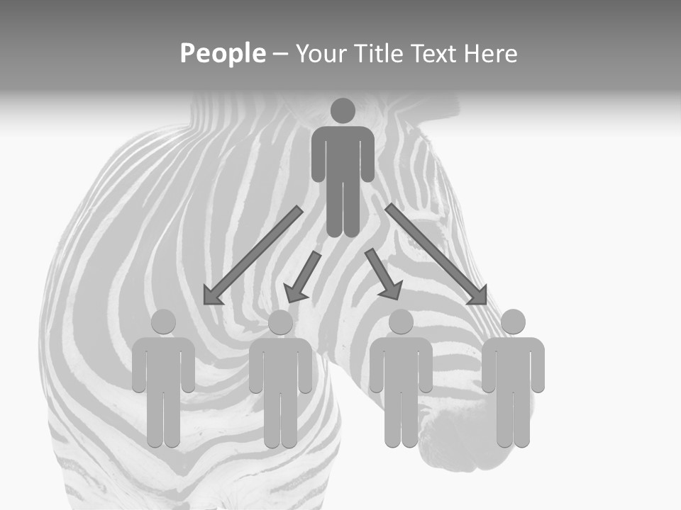 Safari Black Looking PowerPoint Template