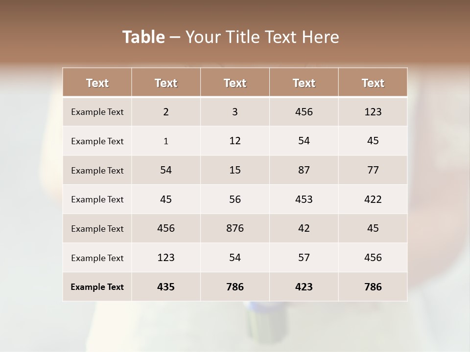 The Bride Roses Beautiful Hands PowerPoint Template