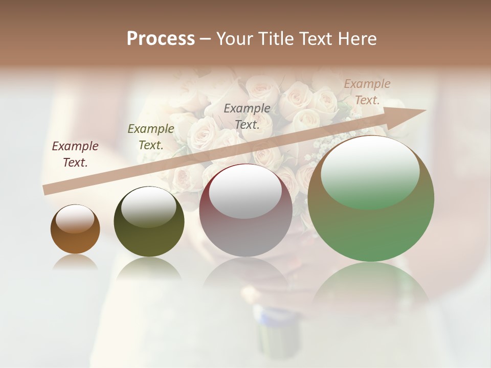 The Bride Roses Beautiful Hands PowerPoint Template