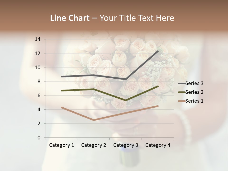 The Bride Roses Beautiful Hands PowerPoint Template