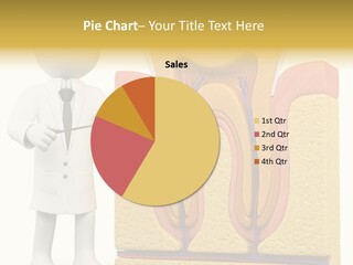 Healthcare Pulp Toothache PowerPoint Template