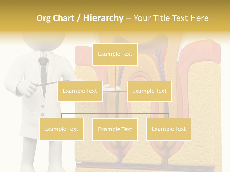 Healthcare Pulp Toothache PowerPoint Template