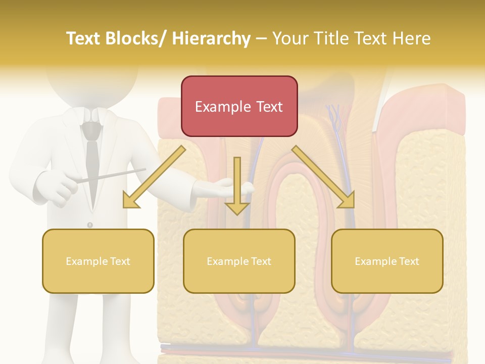 Healthcare Pulp Toothache PowerPoint Template