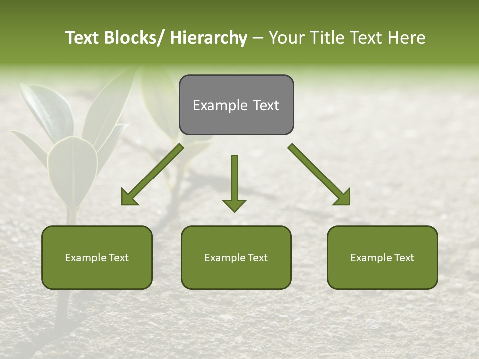 Lush Land Nature PowerPoint Template