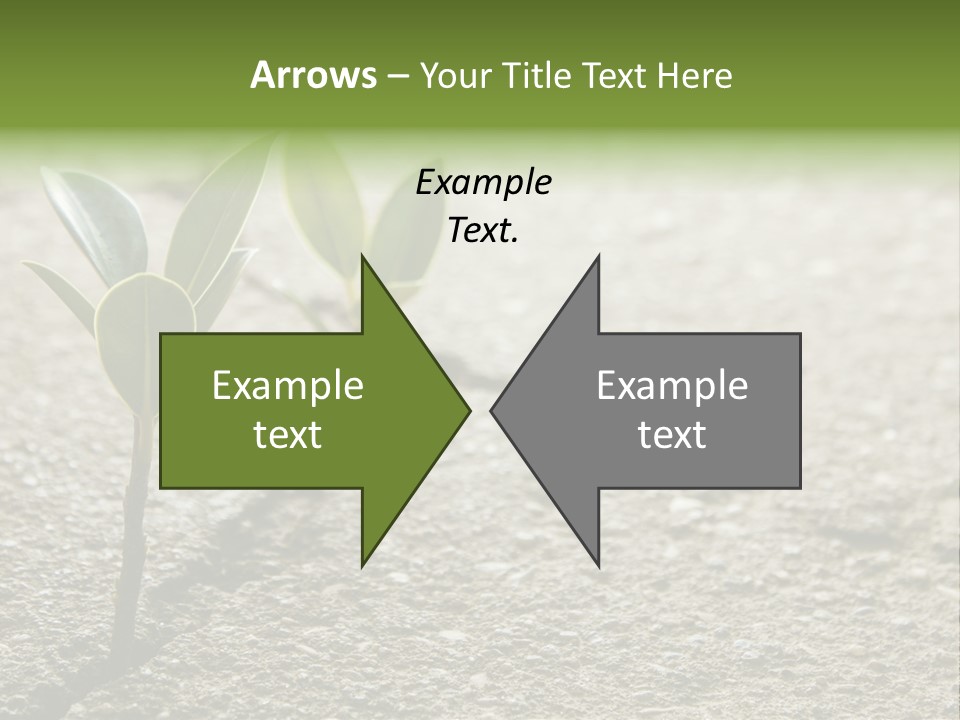 Lush Land Nature PowerPoint Template