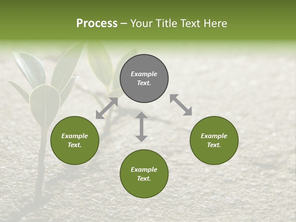Lush Land Nature PowerPoint Template