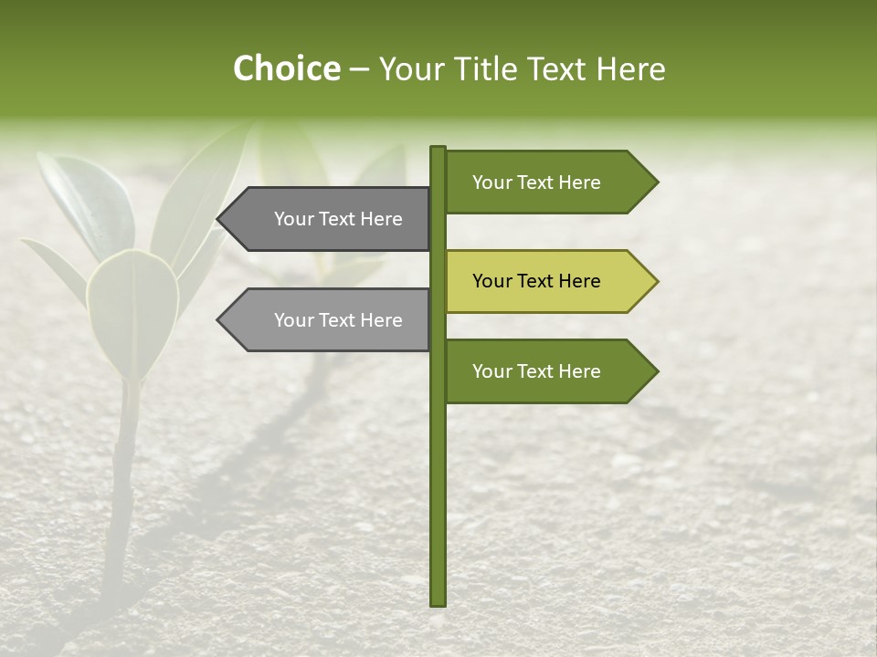 Lush Land Nature PowerPoint Template