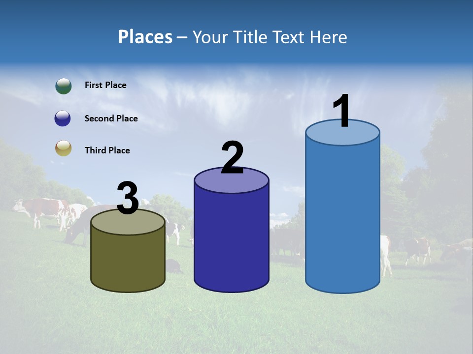 Cattle Discussion Four PowerPoint Template