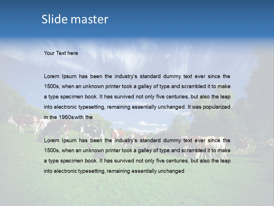 Cattle Discussion Four PowerPoint Template