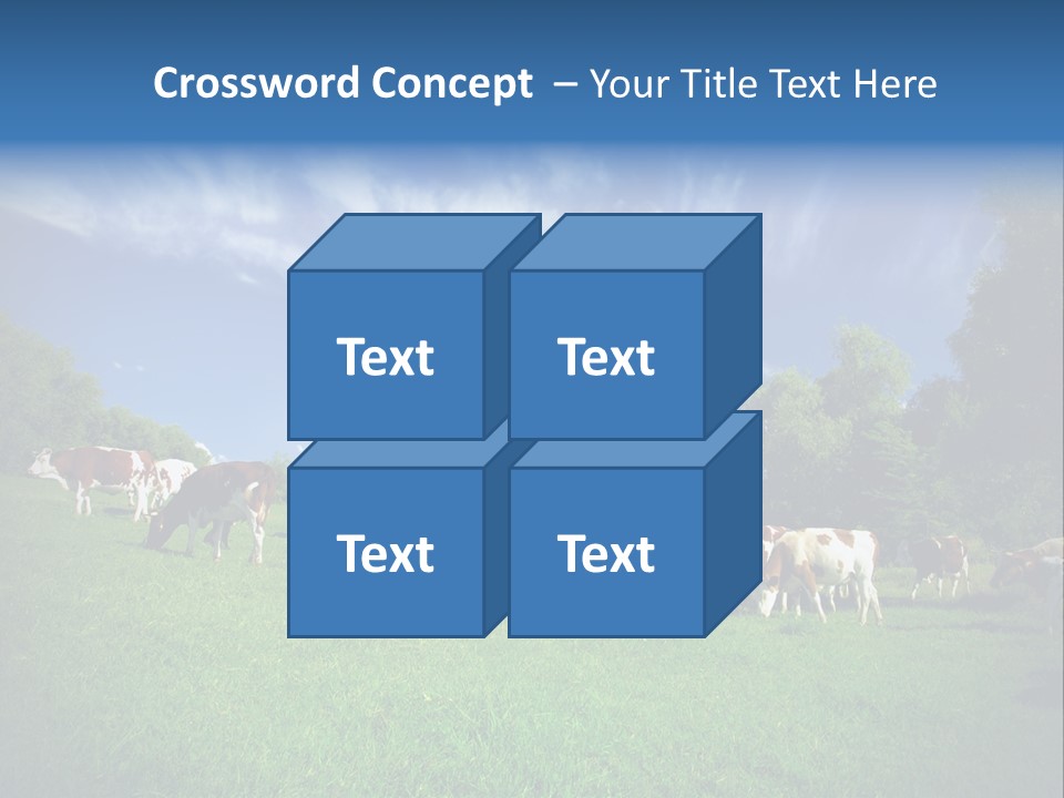 Cattle Discussion Four PowerPoint Template