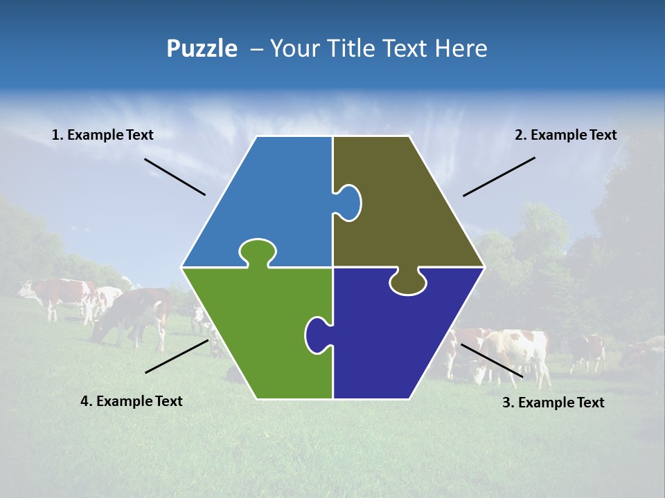 Cattle Discussion Four PowerPoint Template