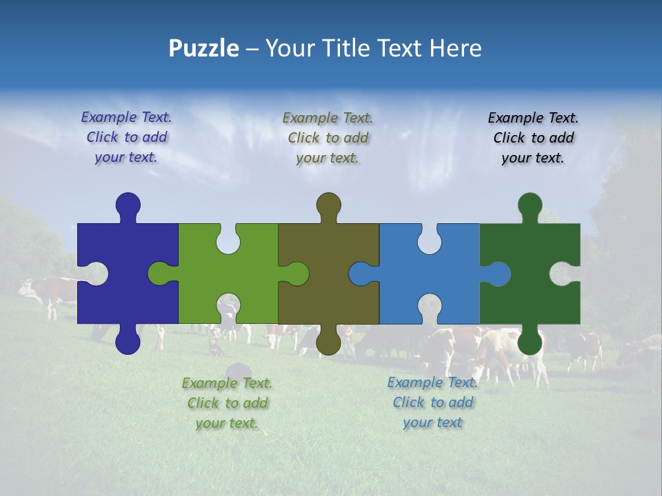 Cattle Discussion Four PowerPoint Template