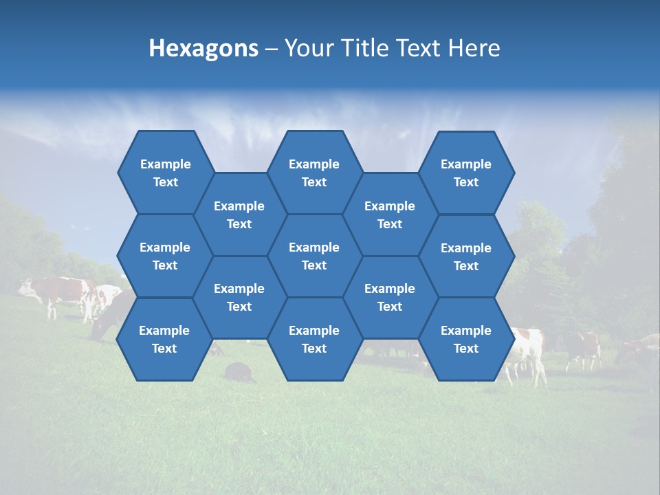 Cattle Discussion Four PowerPoint Template