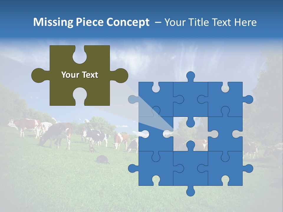 Cattle Discussion Four PowerPoint Template