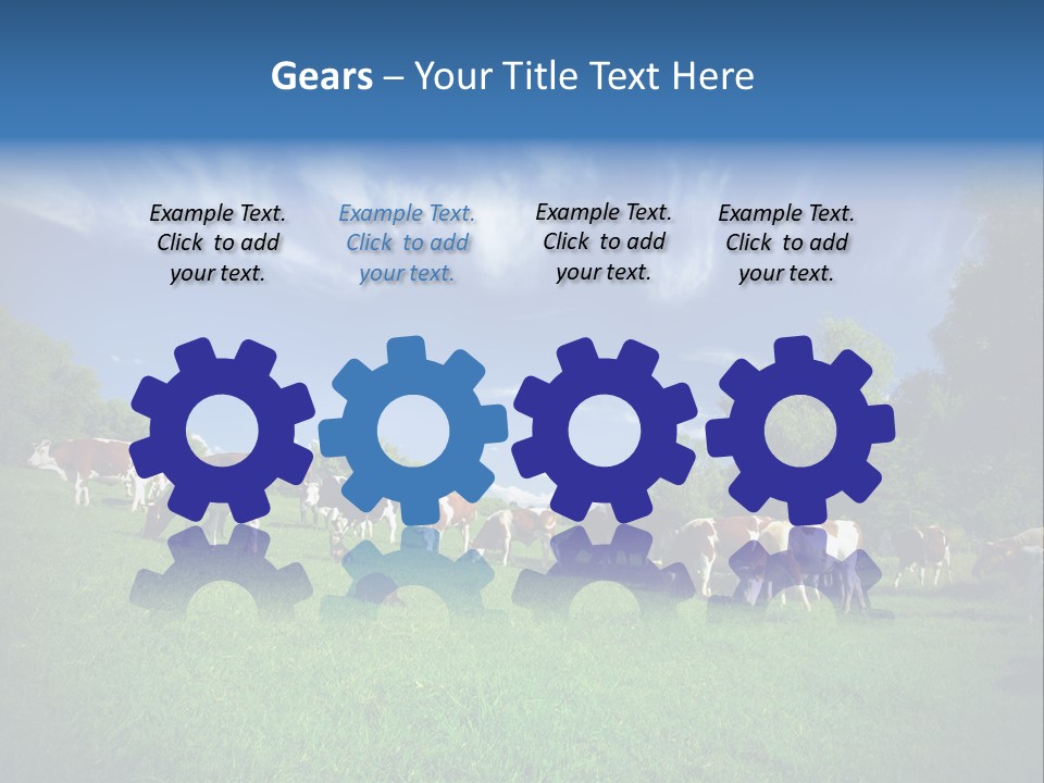 Cattle Discussion Four PowerPoint Template