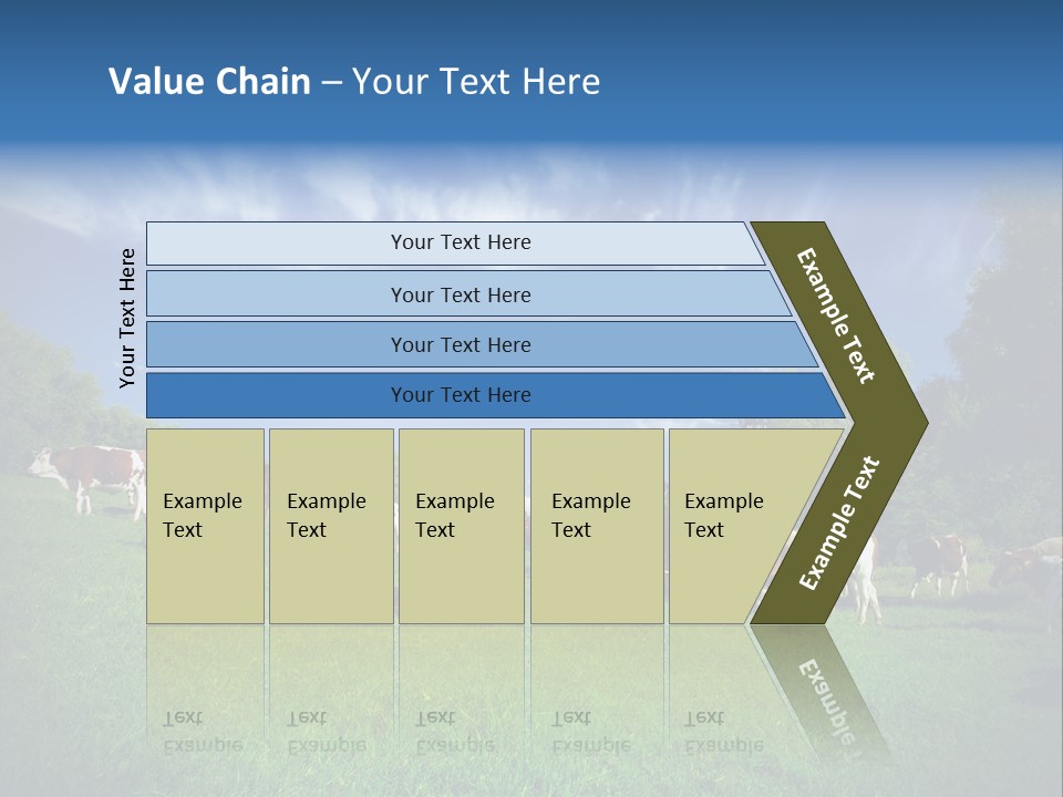 Cattle Discussion Four PowerPoint Template
