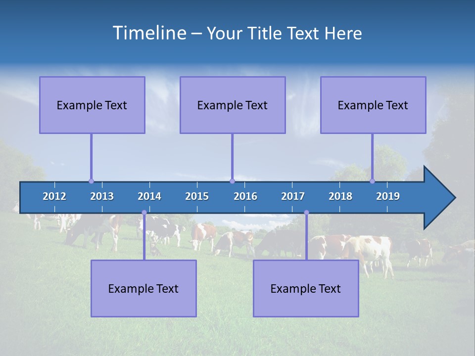 Cattle Discussion Four PowerPoint Template