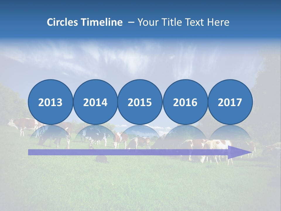 Cattle Discussion Four PowerPoint Template