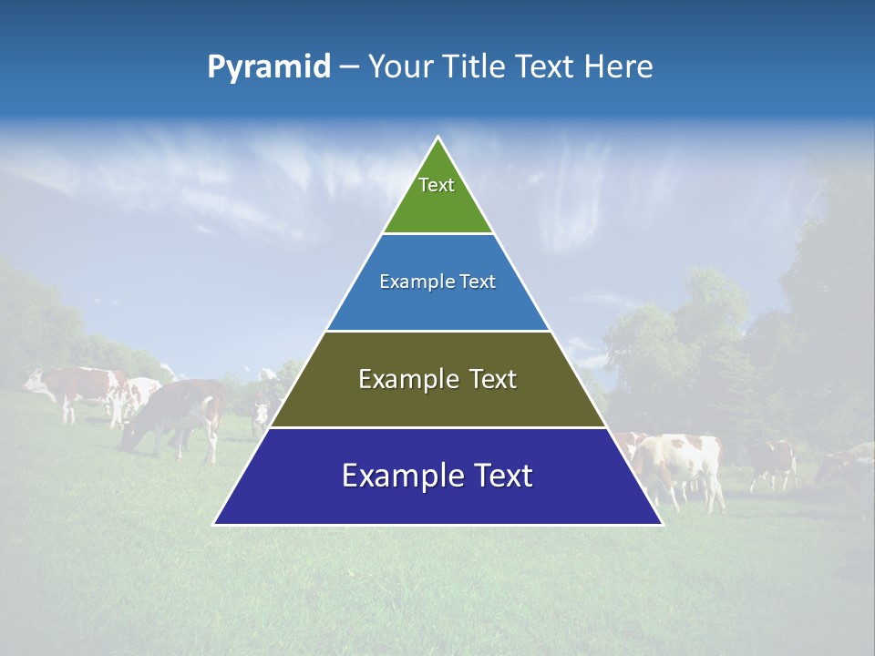 Cattle Discussion Four PowerPoint Template