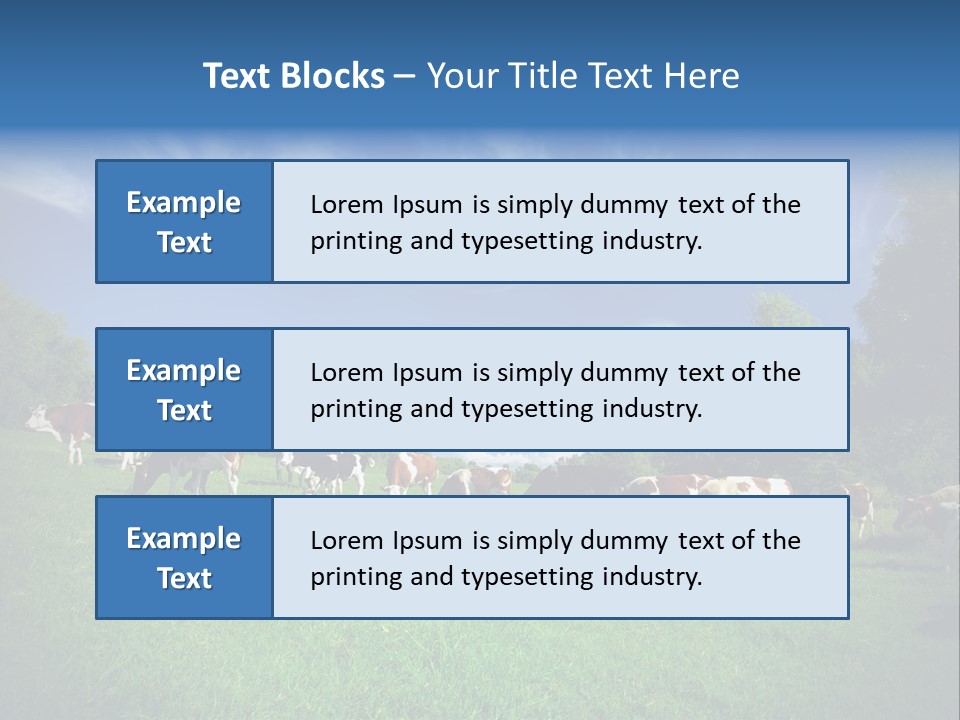 Cattle Discussion Four PowerPoint Template