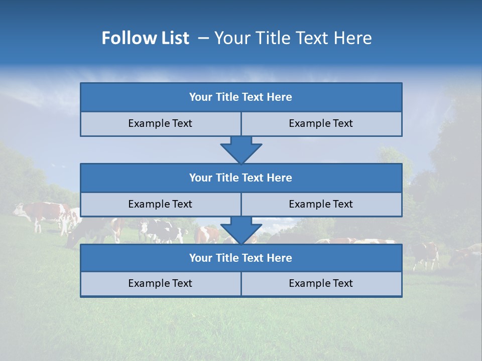 Cattle Discussion Four PowerPoint Template
