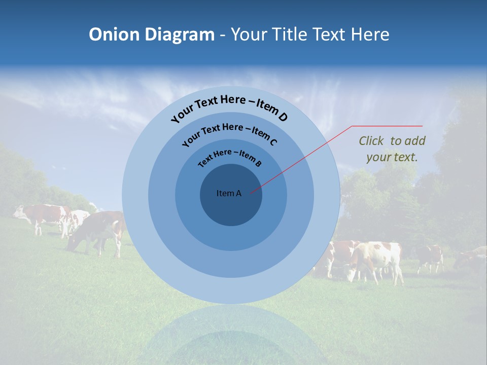 Cattle Discussion Four PowerPoint Template