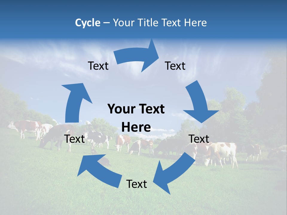 Cattle Discussion Four PowerPoint Template