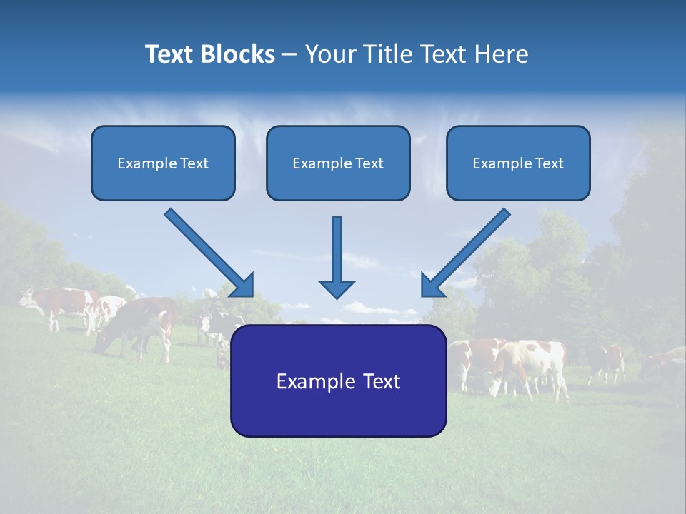 Cattle Discussion Four PowerPoint Template