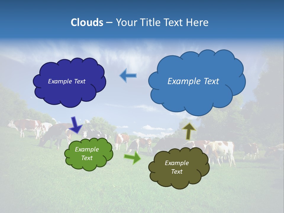 Cattle Discussion Four PowerPoint Template