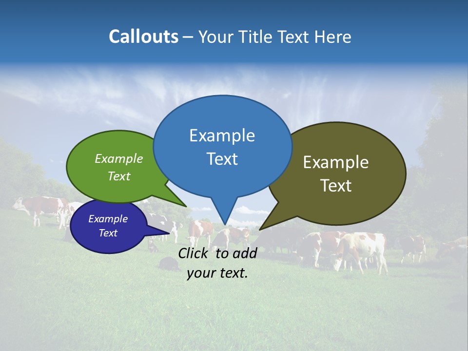 Cattle Discussion Four PowerPoint Template