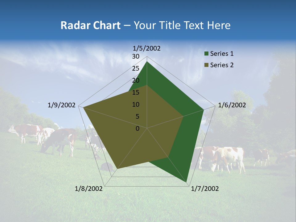 Cattle Discussion Four PowerPoint Template