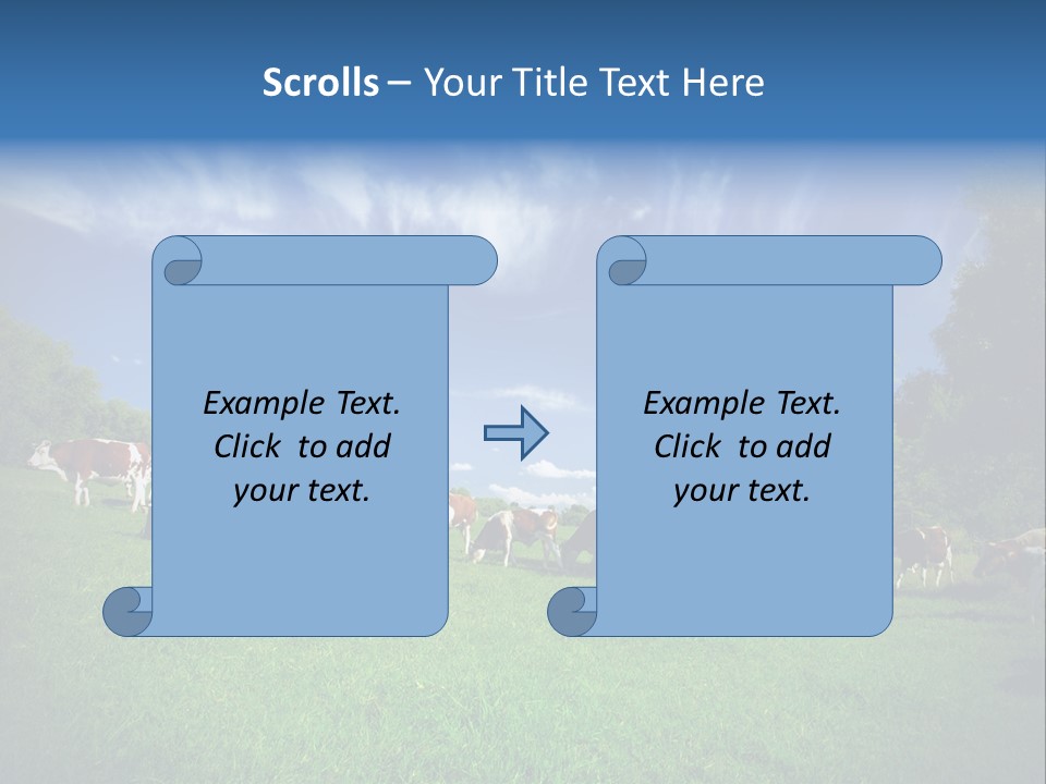 Cattle Discussion Four PowerPoint Template