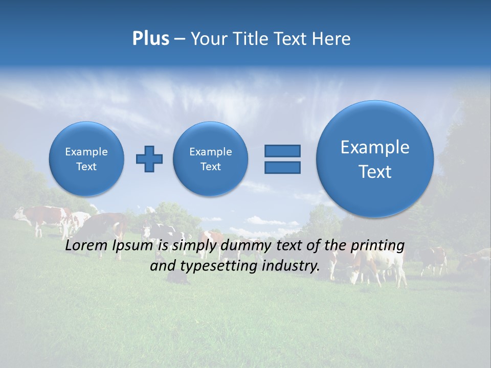Cattle Discussion Four PowerPoint Template