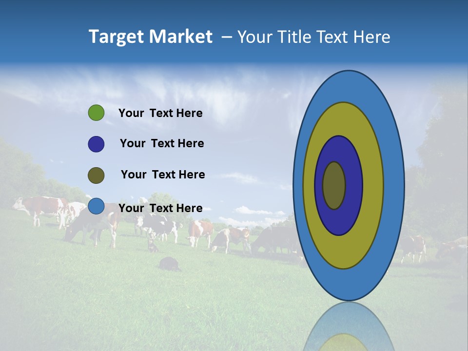 Cattle Discussion Four PowerPoint Template