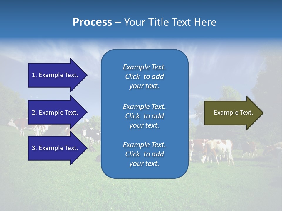 Cattle Discussion Four PowerPoint Template