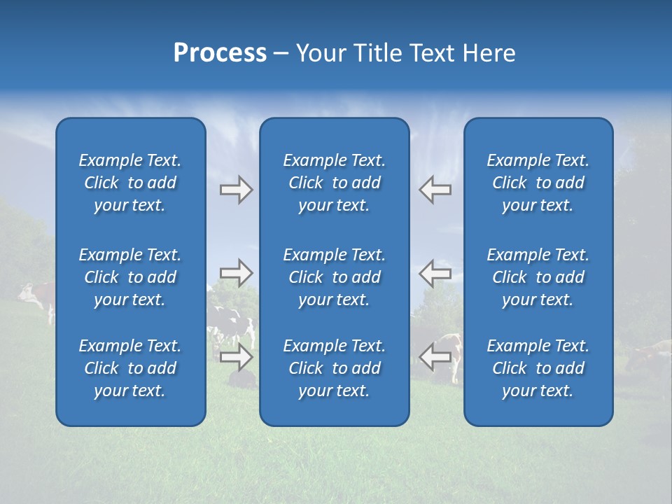 Cattle Discussion Four PowerPoint Template