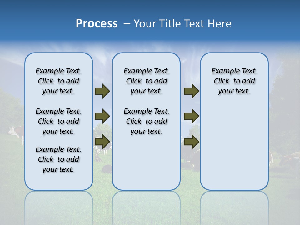 Cattle Discussion Four PowerPoint Template