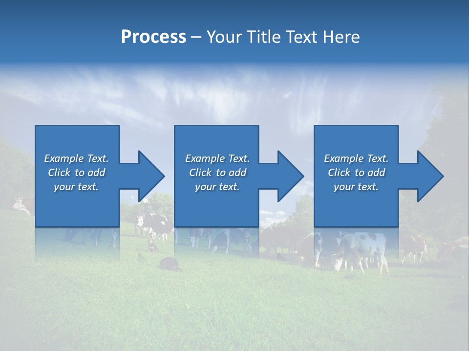 Cattle Discussion Four PowerPoint Template