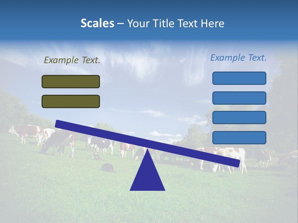 Cattle Discussion Four PowerPoint Template