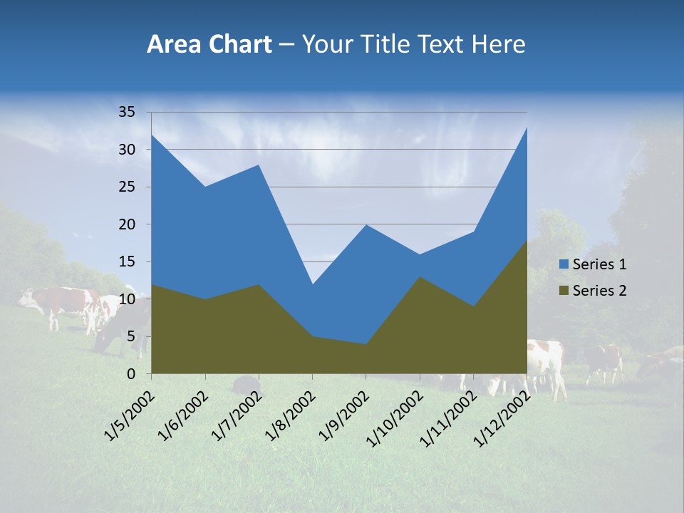 Cattle Discussion Four PowerPoint Template