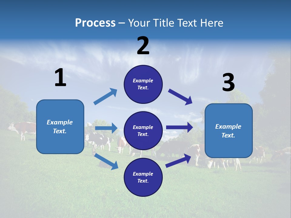 Cattle Discussion Four PowerPoint Template