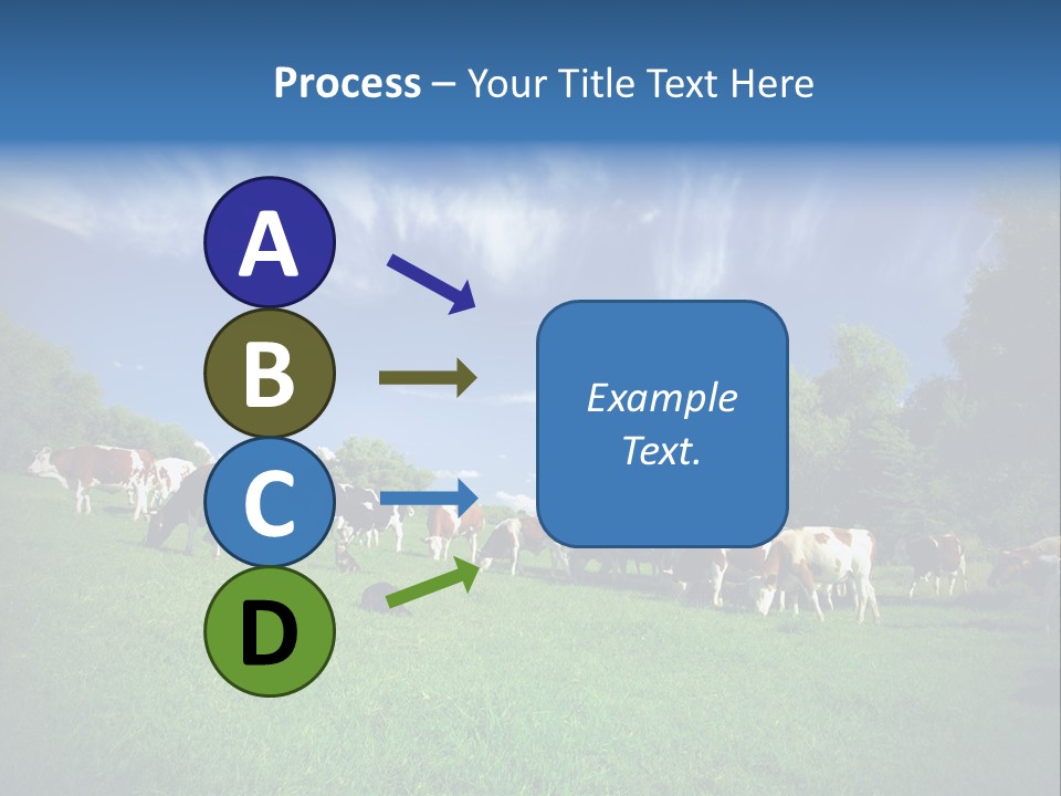 Cattle Discussion Four PowerPoint Template