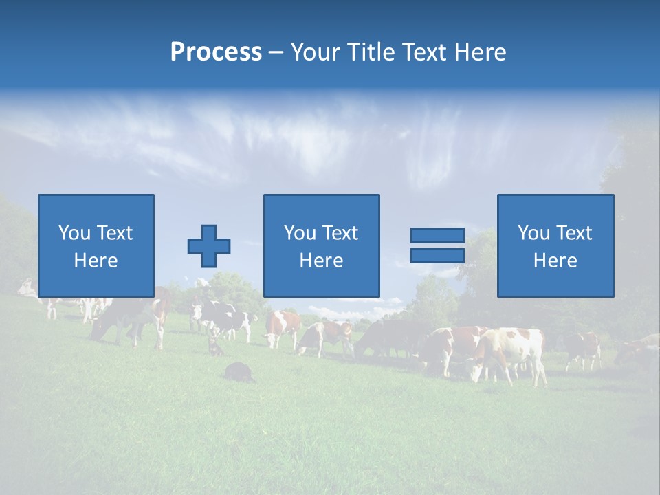 Cattle Discussion Four PowerPoint Template