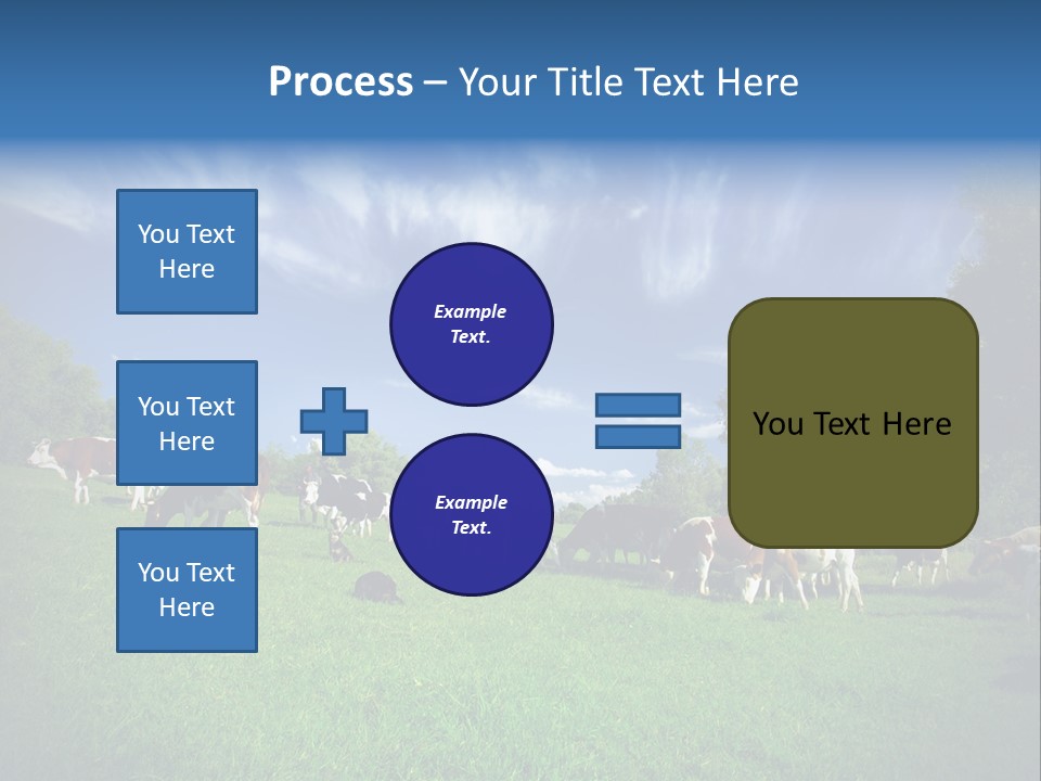 Cattle Discussion Four PowerPoint Template